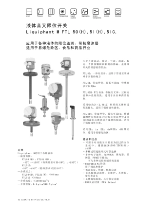 E+H音叉开关FTL51
