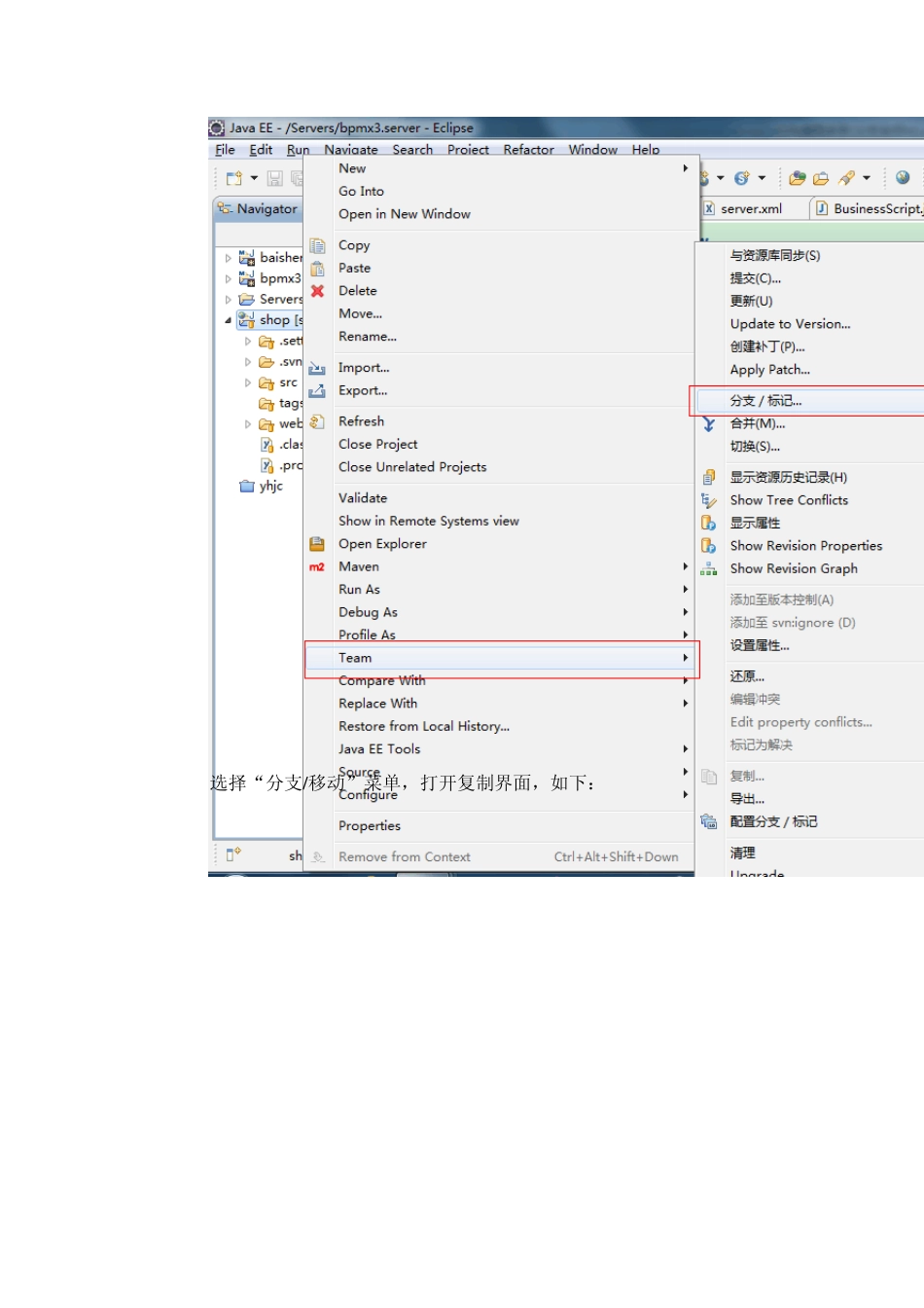 eclipse下svn的分支与合并指南更新版_第2页