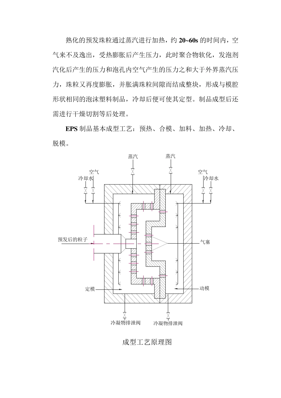 EPS制品成型工艺_第1页