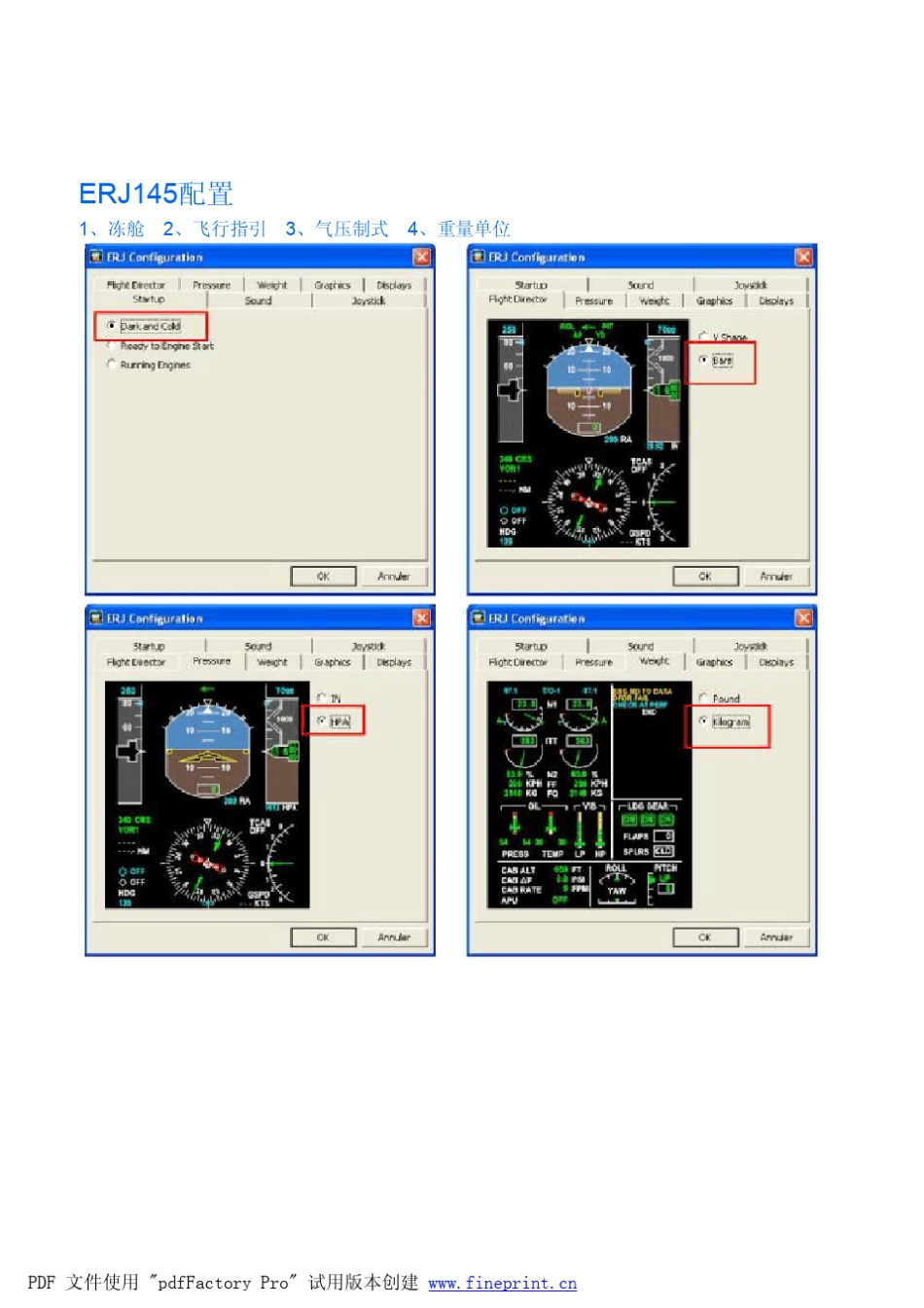 ERJ145飞行手册_第3页