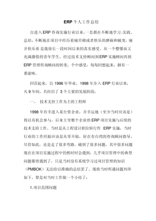 ERP个人工作总结