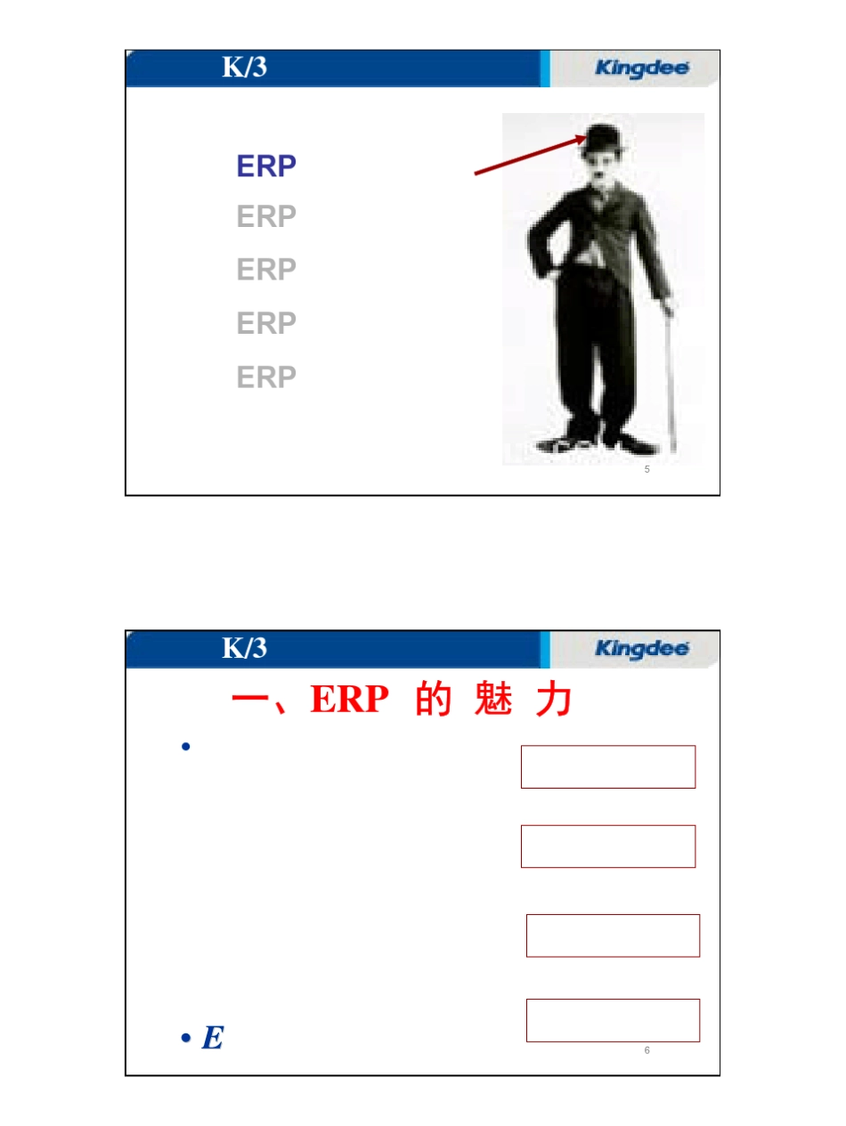 ERP及财务基础知识_第3页