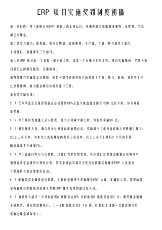 ERP项目实施奖罚制度初稿