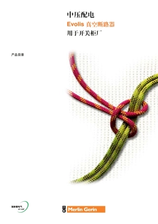 Evolis真空断路器