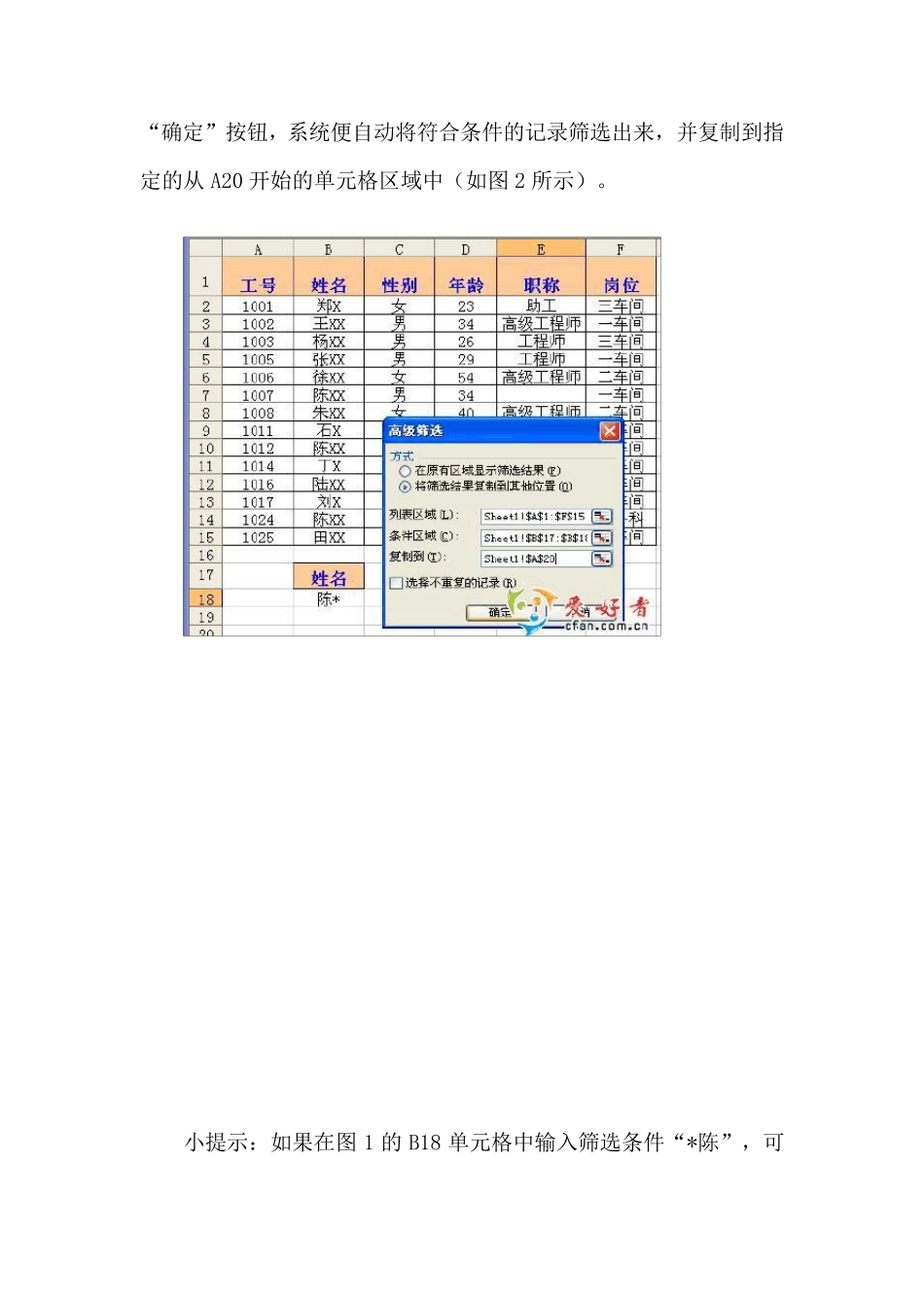 excel_高级筛选1_第2页