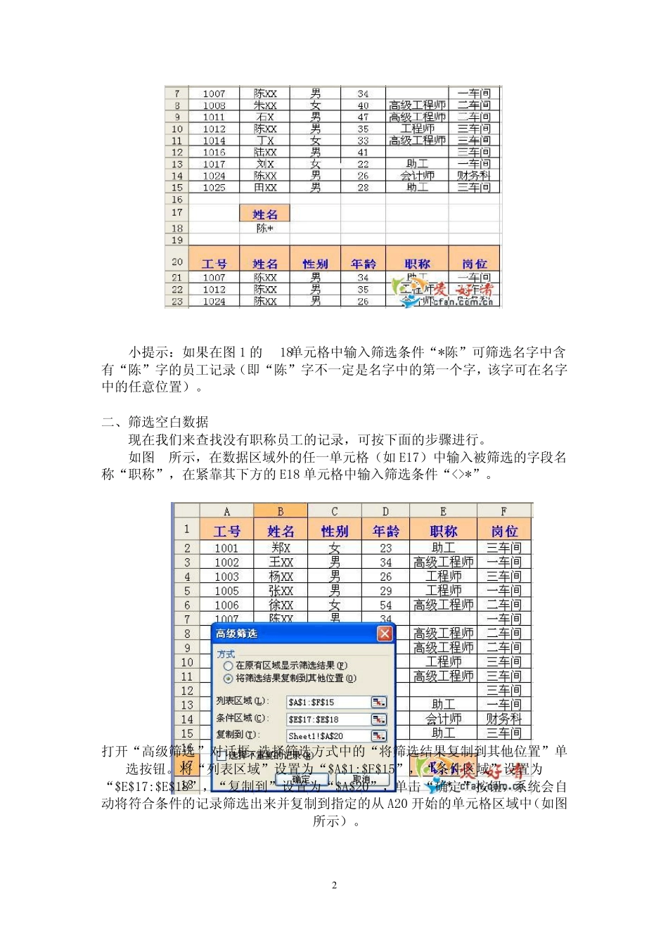 Excel中的高级筛选技巧_第2页