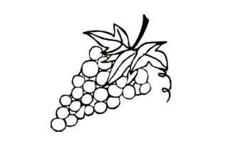 幼儿涂色的简笔画小动物