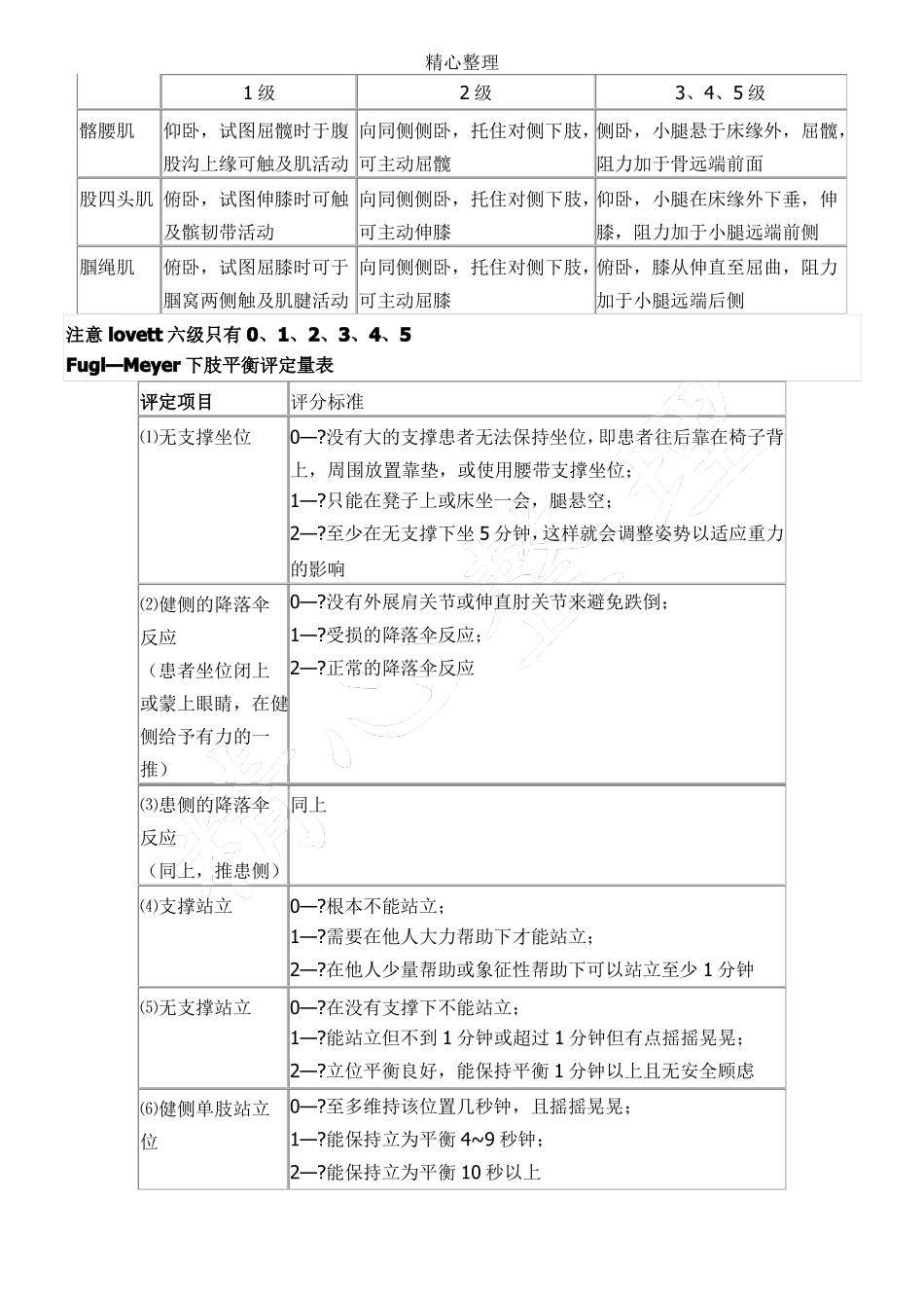康复评定量表格模板_第2页
