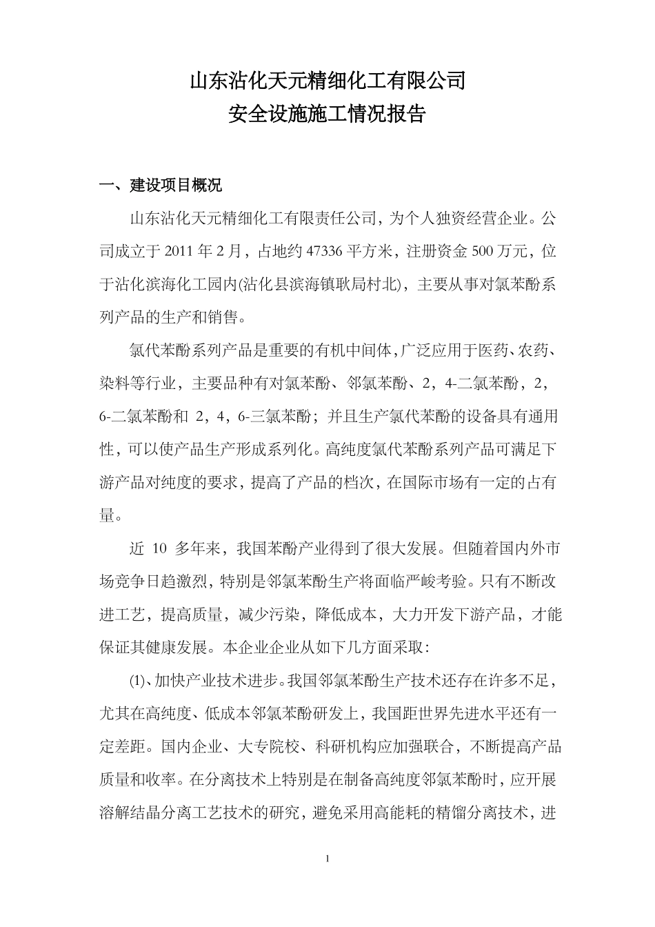 建设项目安全设施施工情况报告模板_第1页