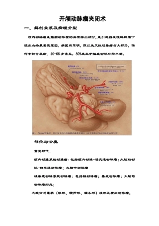 开颅动脉瘤夹闭术