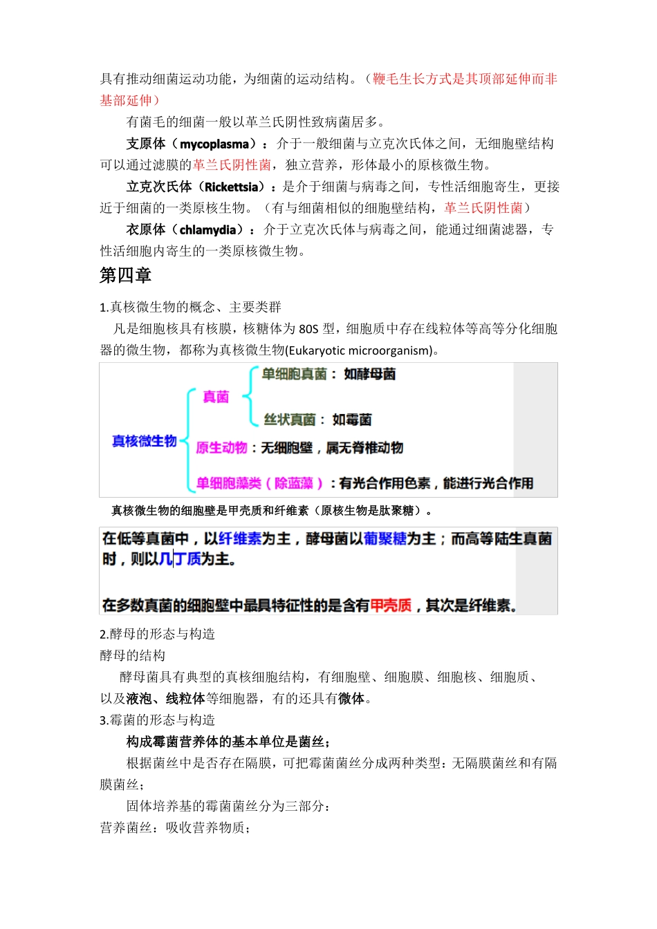 微生物知识点_第3页