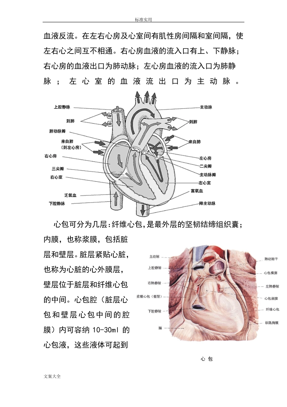 心脏地解剖结构及生理含彩图_第2页