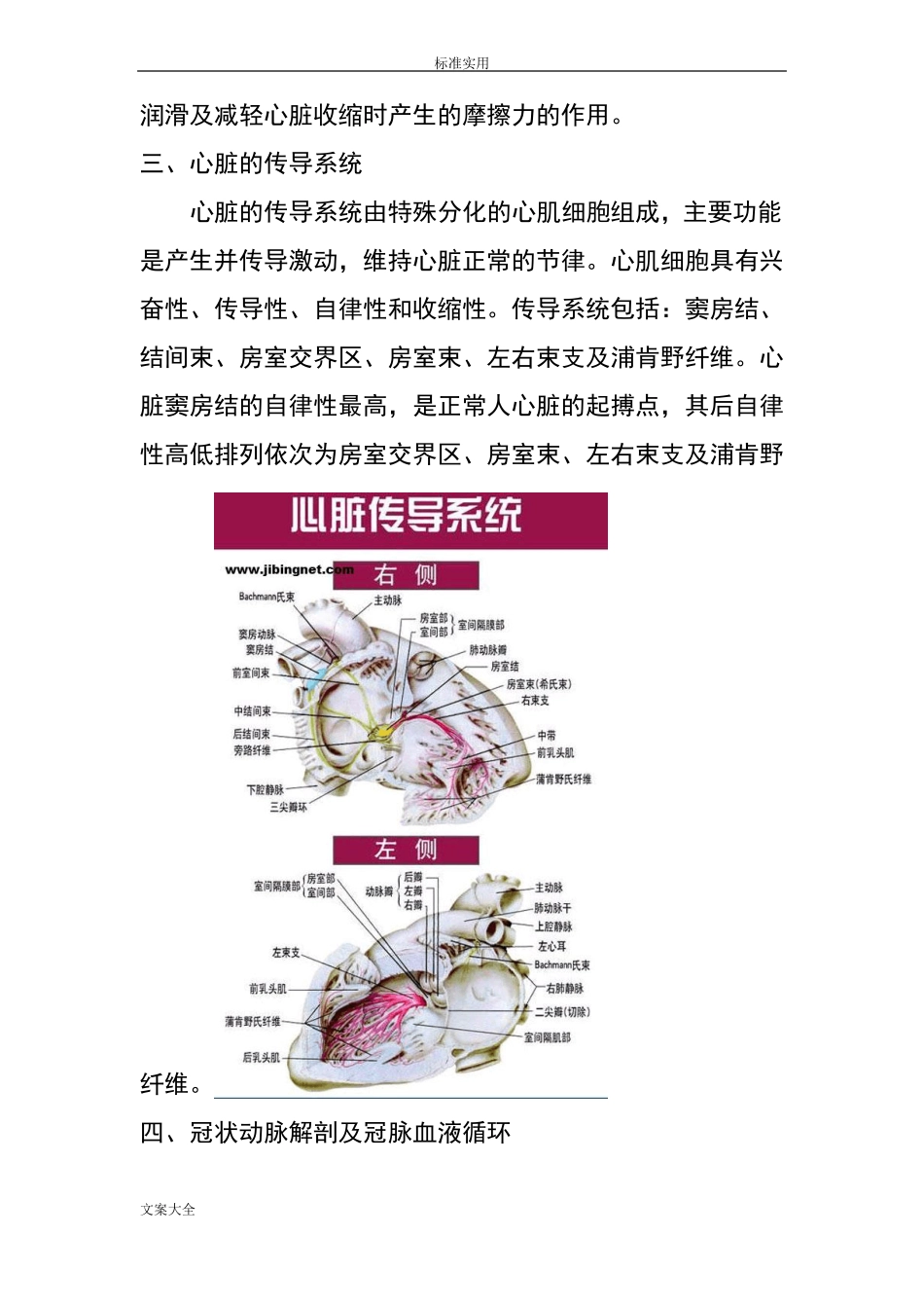 心脏地解剖结构及生理含彩图_第3页