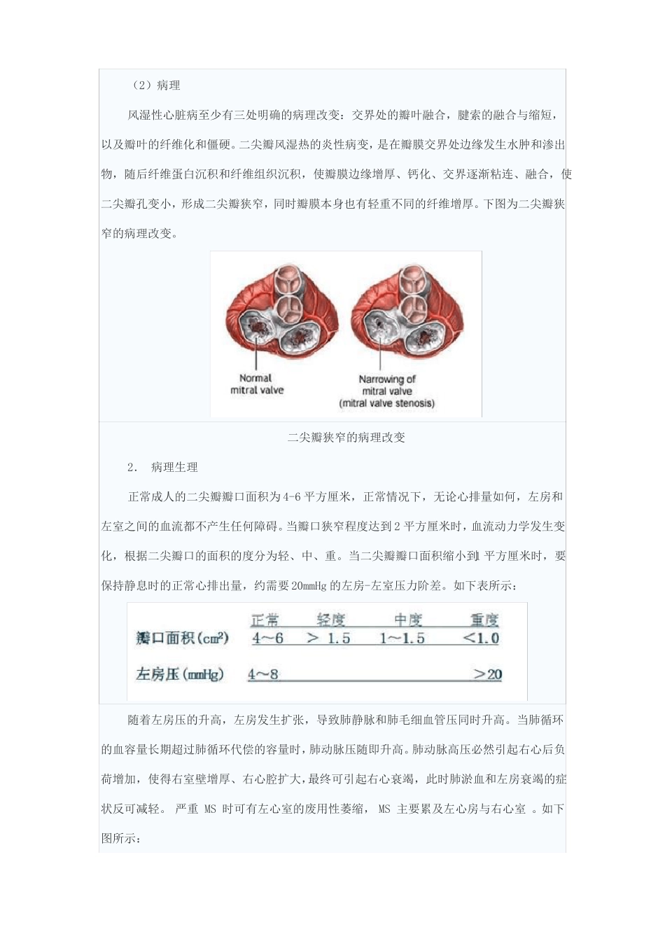 心脏瓣膜病的病理生理与诊断_第2页