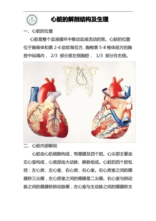 心脏的解剖结构与生理含彩图