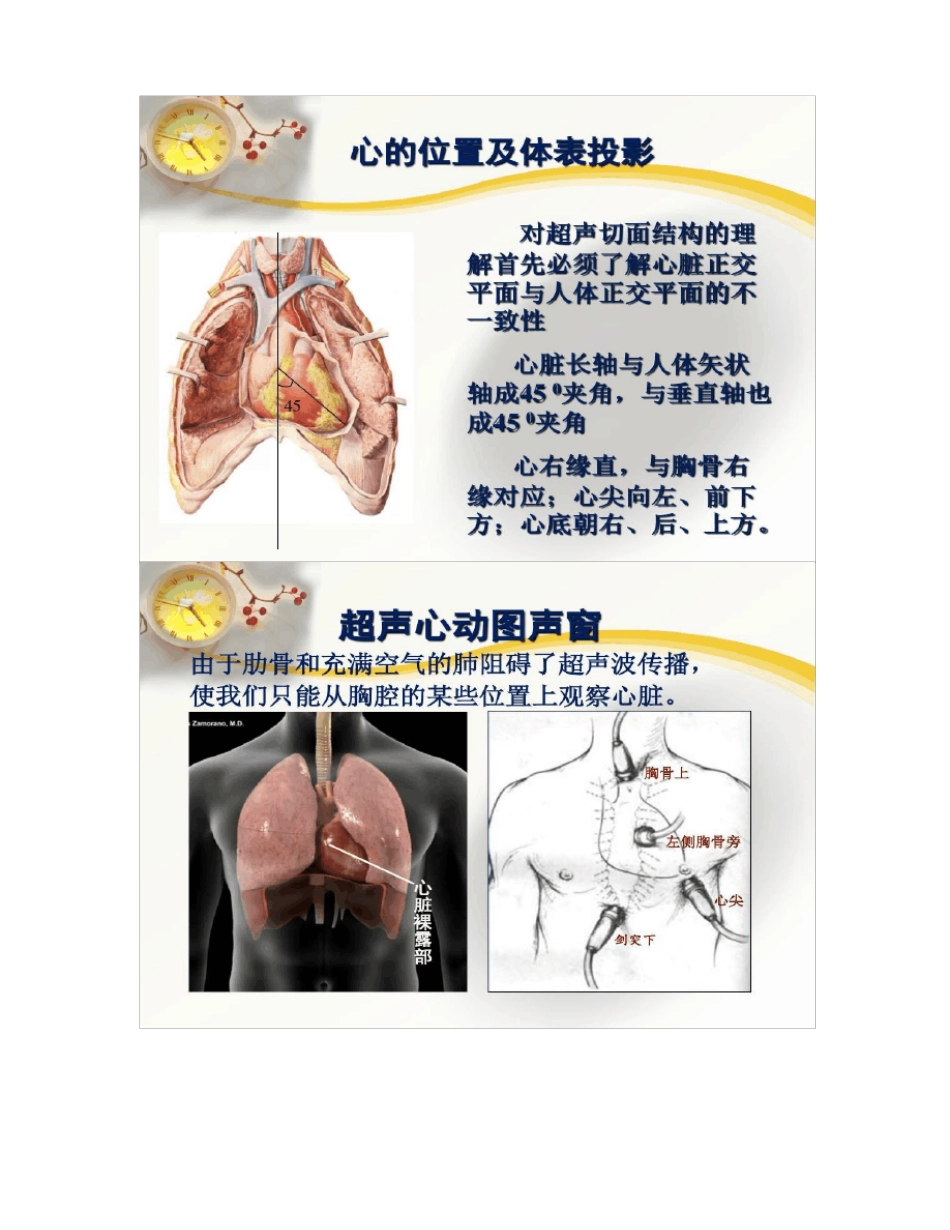 心脏超声常用切面及解剖_第2页
