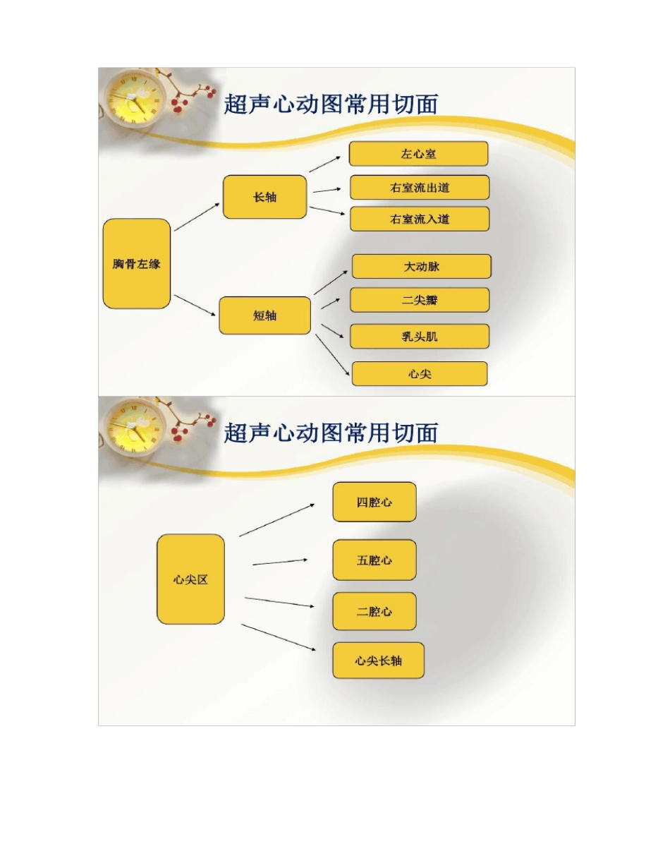 心脏超声常用切面及解剖_第3页