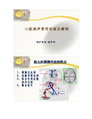 心脏超声常用切面及解剖