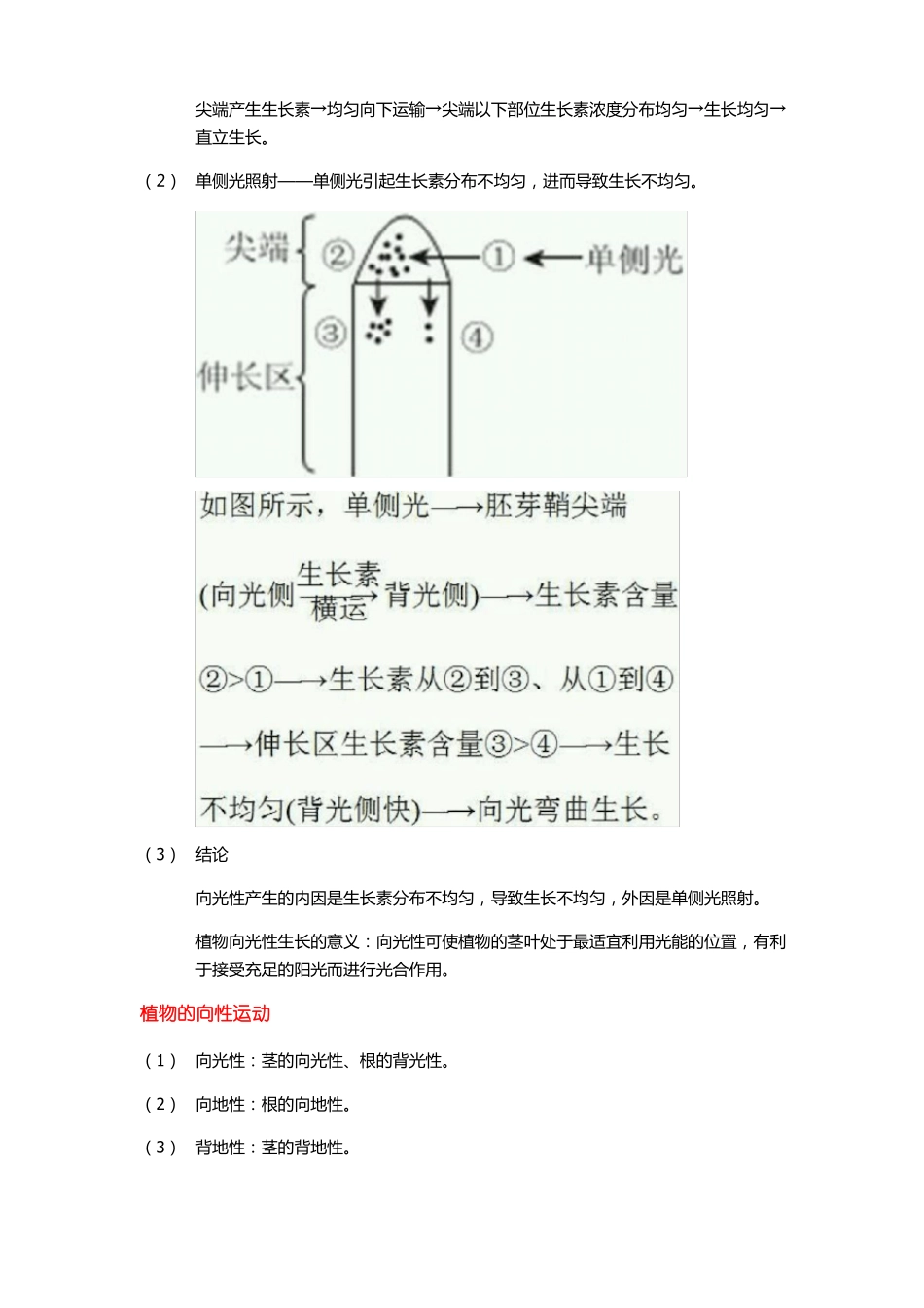 必修三植物的激素调节知识点总结_第2页