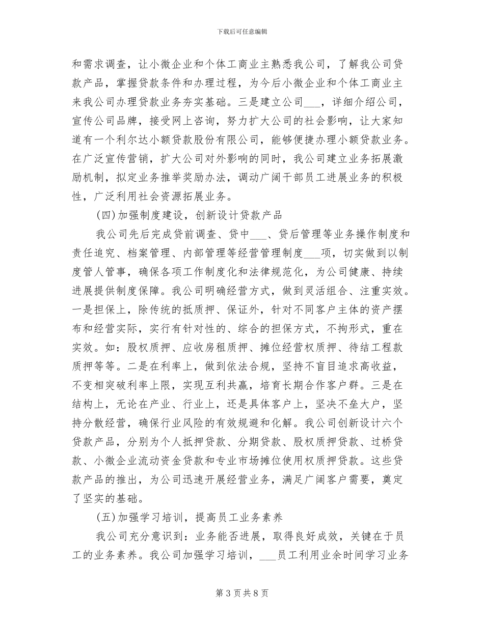 小额贷款股份公司2024年度工作总结_第3页