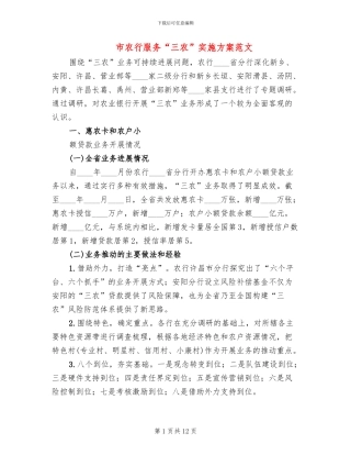 市农行服务“三农”实施方案范文