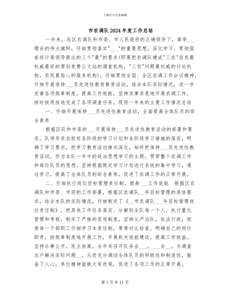 市农调队2024年度工作总结_第1页
