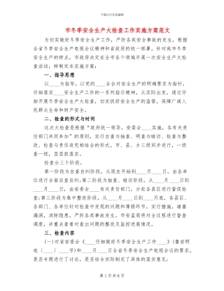 市冬季安全生产大检查工作实施方案范文