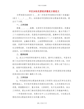 市区加快民营经济整改方案范文