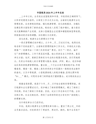 市国税局2024年上半年总结
