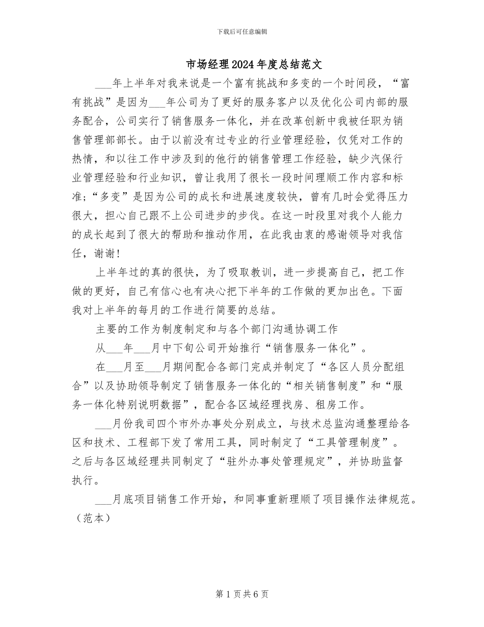 市场经理2024年度总结范文_第1页