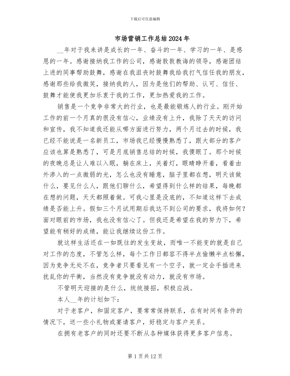 市场营销工作总结2024年_第1页
