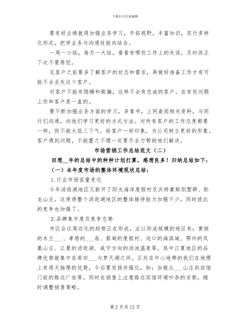 市场营销工作总结2024年_第2页