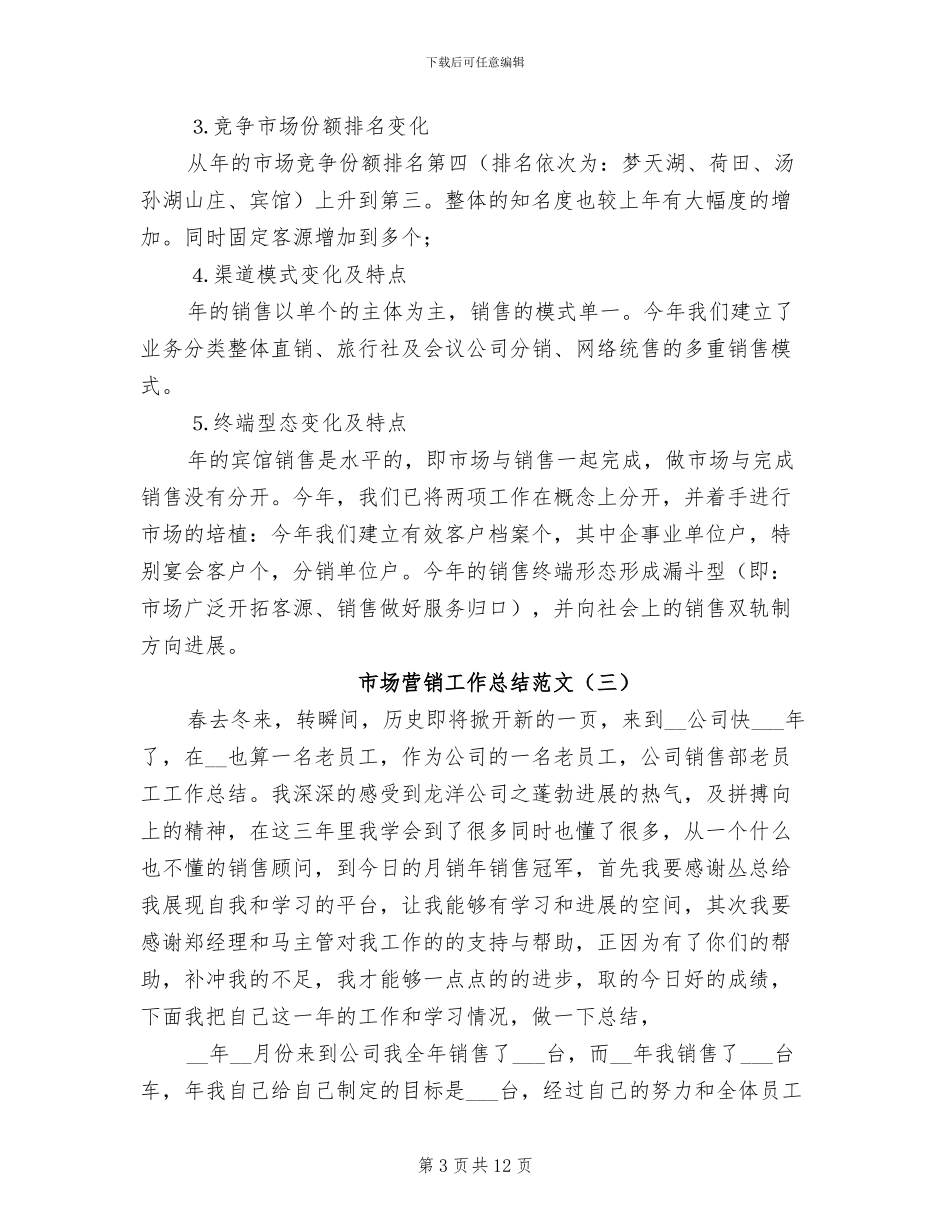 市场营销工作总结2024年_第3页