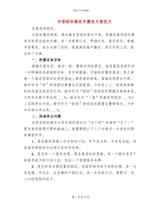 市委组织建设年整改方案范文