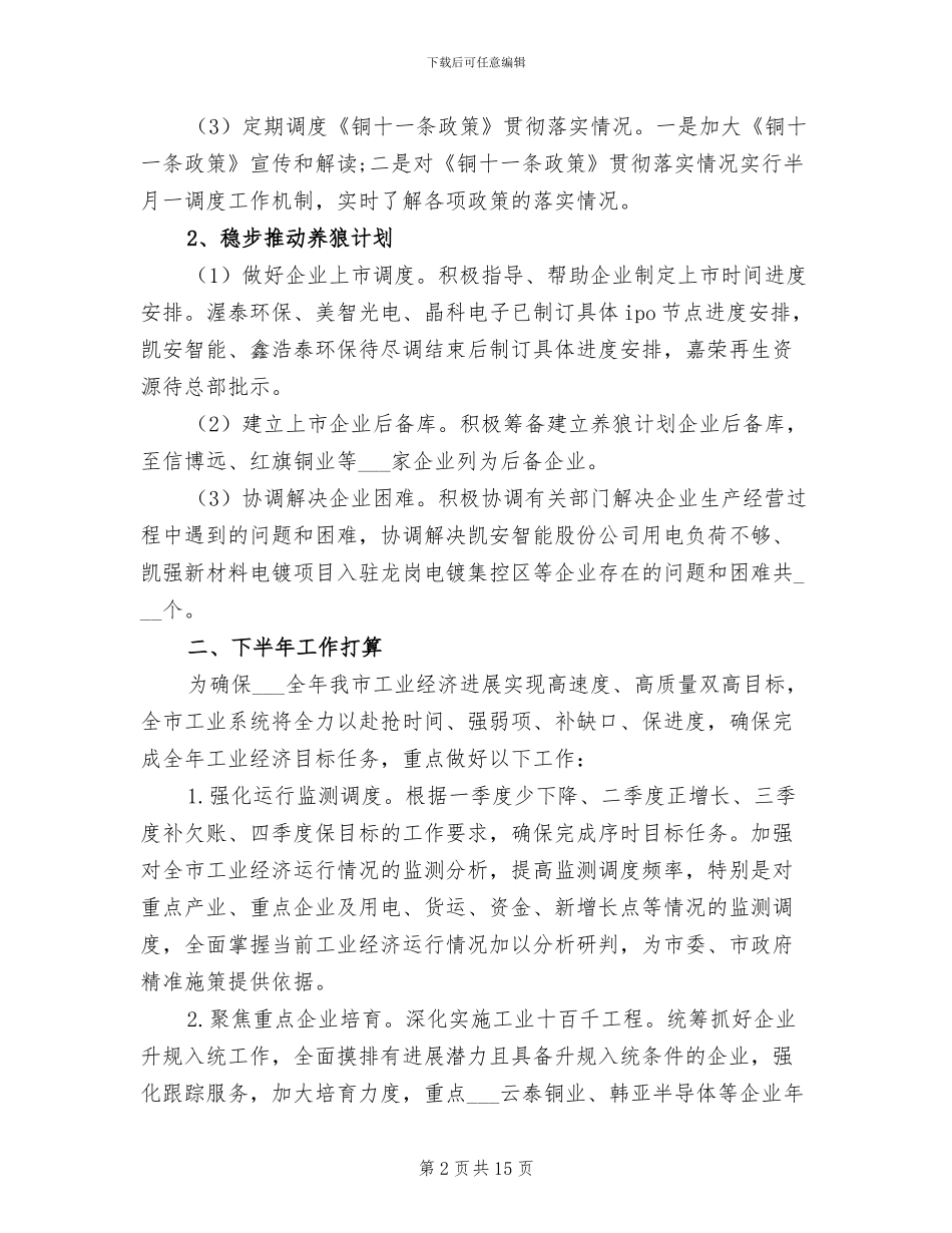 市工信局2024年上半年工作总结及下半年工作计划_第2页