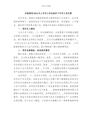 市招商局2024年上半年工作总结和下半年工作打算