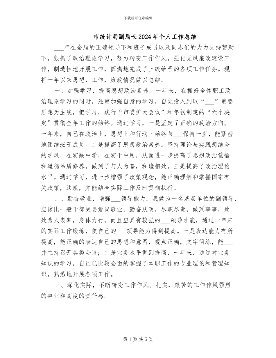 市统计局副局长2024年个人工作总结_第1页