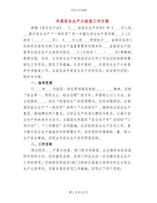 年度安全生产大检查工作方案