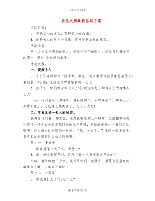 幼儿大班集教活动方案