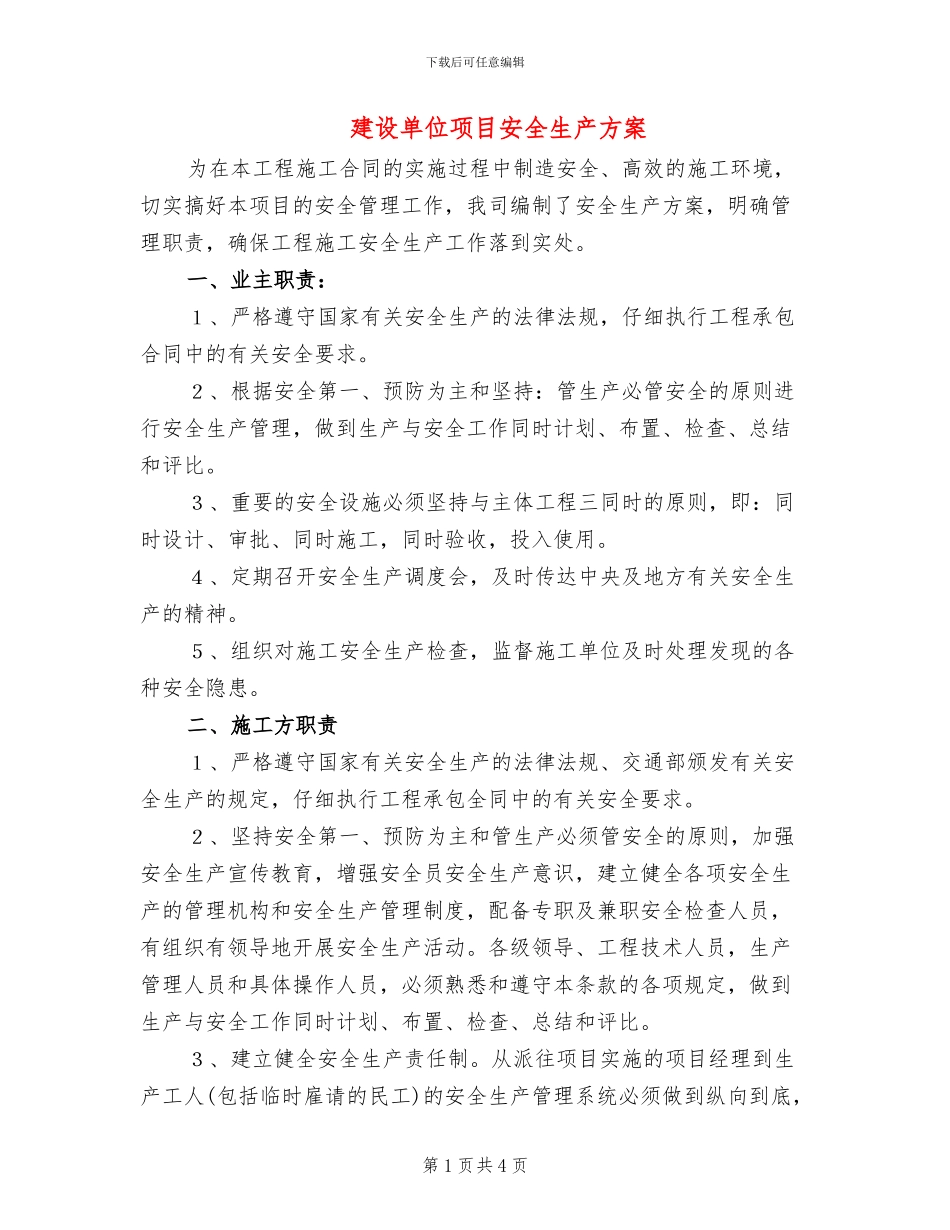 建设单位项目安全生产方案_第1页