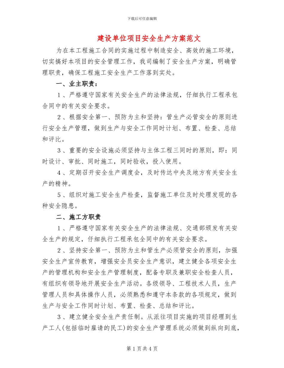建设单位项目安全生产方案范文_第1页