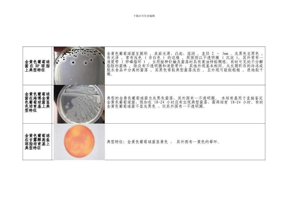 微生物菌落特征形态总结大全_第3页