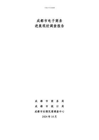 成都市电子商务发展现状调查报告