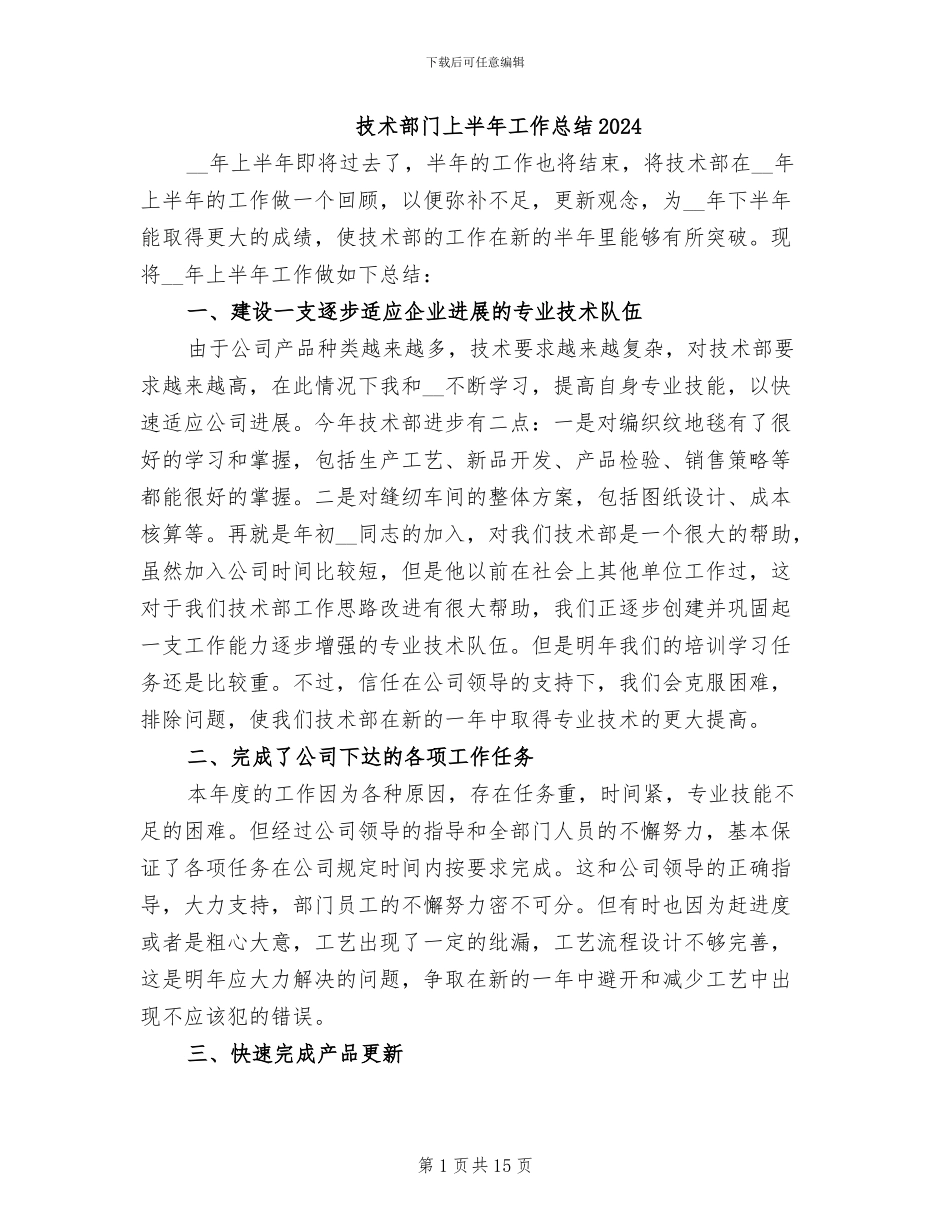 技术部门上半年工作总结2024_第1页