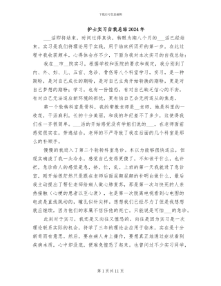 护士实习自我总结2024年