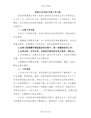 担保公司2024年度工作小结
