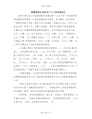 招商局局长2024年个人工作总结范文