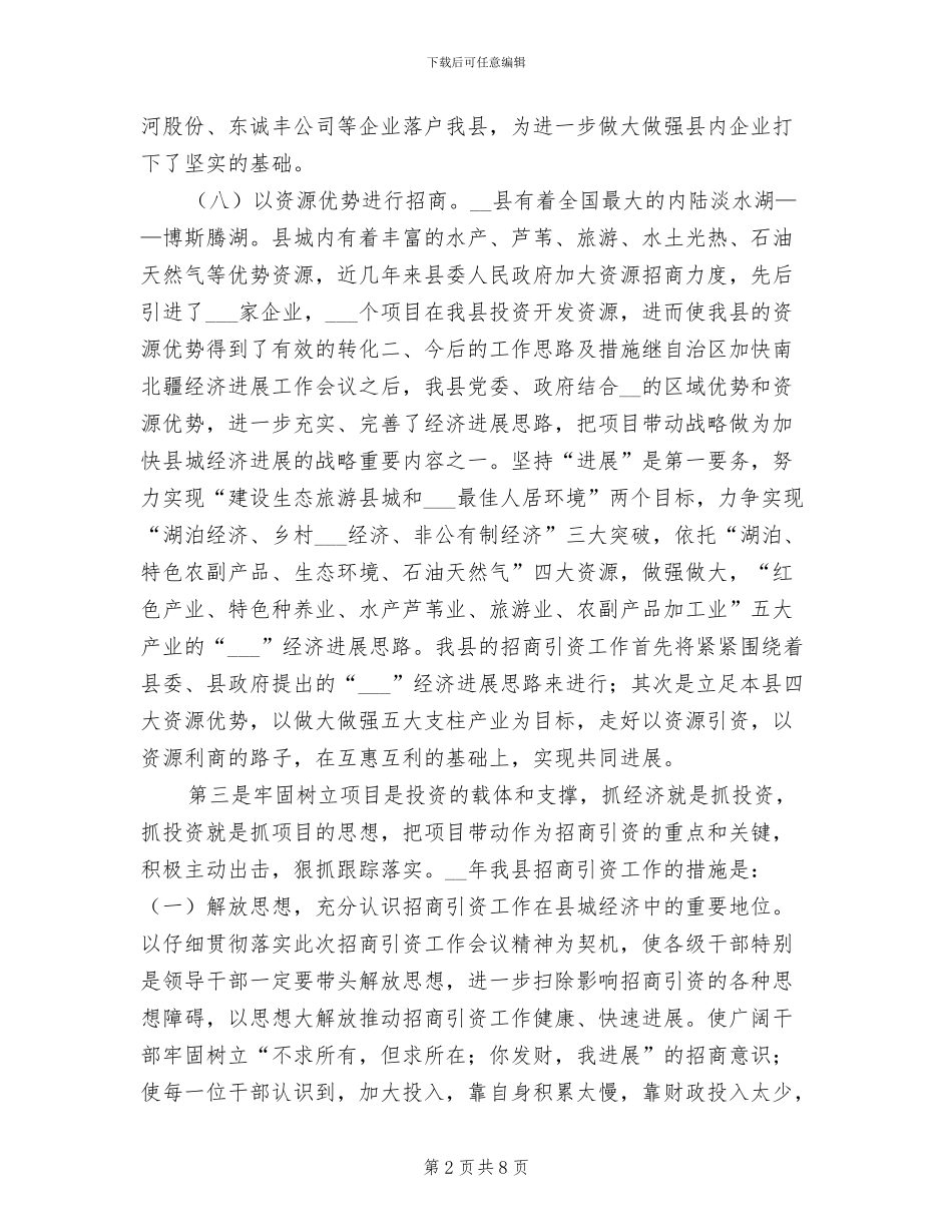 招商引资2024年度工作总结_第2页