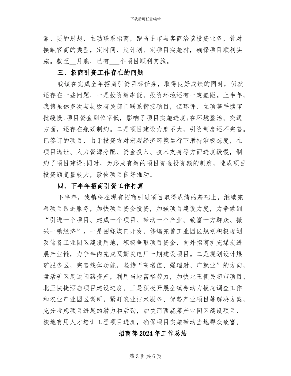 招商引资半年工作总结2024年_第3页