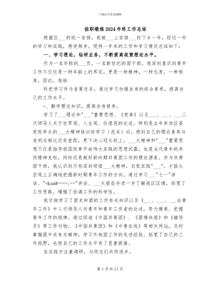 挂职锻炼2024年终工作总结